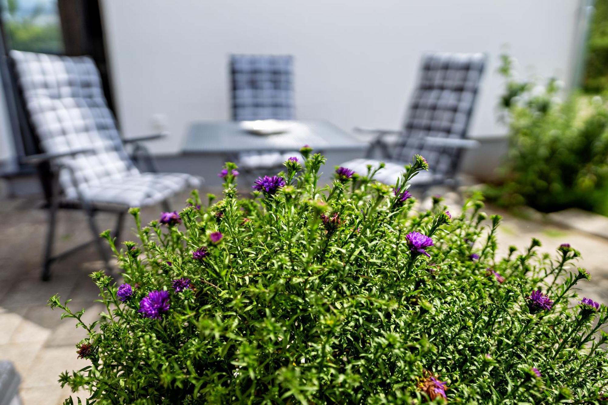 Appartement 2 - Duenenblick Börgerende-Rethwisch Εξωτερικό φωτογραφία